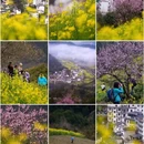 黄山旅游 缩略图 2