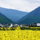 黄山旅游 缩略图 3