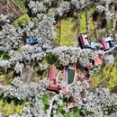 乐山旅游 缩略图 3