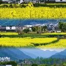 黄山旅游 缩略图 2