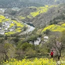 黄山旅游 缩略图 4
