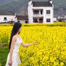 黄山旅游 缩略图 13