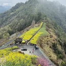 黄山旅游 缩略图 7