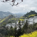 黄山旅游 缩略图 13