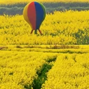 芜湖旅游 缩略图 2