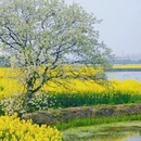 芜湖旅游 缩略图 1