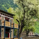甘孜旅游 缩略图 5