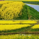 芜湖旅游 缩略图 3