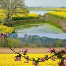 芜湖旅游 缩略图 4