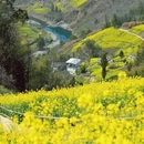 黄山旅游 缩略图 2