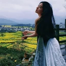 黄山旅游 缩略图 15