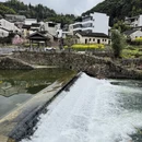 黄山旅游 缩略图 10