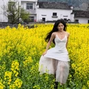 黄山旅游 缩略图 17