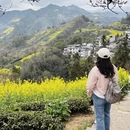 黄山旅游 缩略图 12