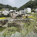 黄山旅游 缩略图 11