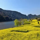 黄山旅游 缩略图 2