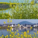 芜湖旅游 缩略图 5