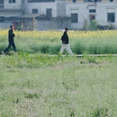 黄山旅游 缩略图 1