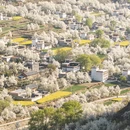 阿坝旅游 缩略图 3