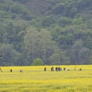 黄山旅游 缩略图 1