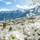 阿坝旅游 缩略图 1