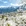 阿坝