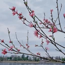 宣城旅游 缩略图 5