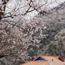 甘孜旅游 缩略图 9