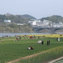 黄山旅游 缩略图 6