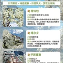 阿坝旅游 缩略图 1