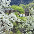阿坝旅游 缩略图 3