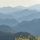 黄山旅游 缩略图 2
