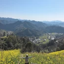 黄山旅游 缩略图 4