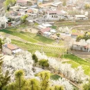 阿坝旅游 缩略图 8