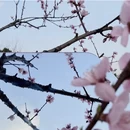 宣城旅游 缩略图 7