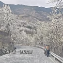 成都旅游 缩略图 9