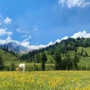 甘孜旅游 缩略图 3