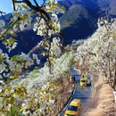 成都旅游 缩略图 10