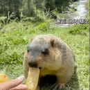 成都旅游 缩略图 15