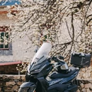 成都旅游 缩略图 14