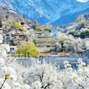 阿坝旅游 缩略图 10