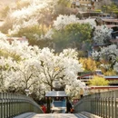 阿坝旅游 缩略图 9