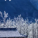 成都旅游 缩略图 4
