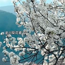 成都旅游 缩略图 3