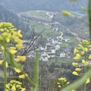 黄山旅游 缩略图 3