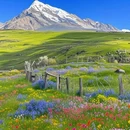 甘孜旅游 缩略图 1