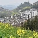黄山旅游 缩略图 4
