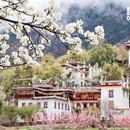 甘孜旅游 缩略图 1