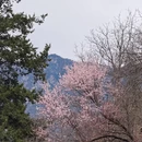 阿坝旅游 缩略图 5