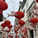 黄山旅游 缩略图 14